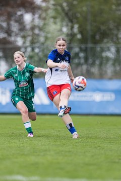 Bild 164 - wBJ Hamburger SV - SV Werder Bremen : Ergebnis: 2:2